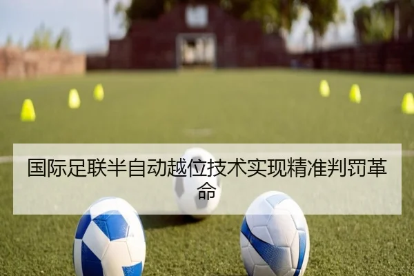 img_1781470161656_305_1_884.jpg