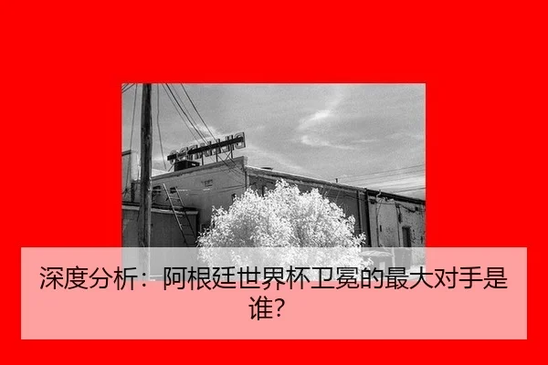shen-du-fen-xi-a-gen-ting-shi-jie-bei-wei-mian-de-zui-da-dui-shou-shi-shui-2-612.jpg